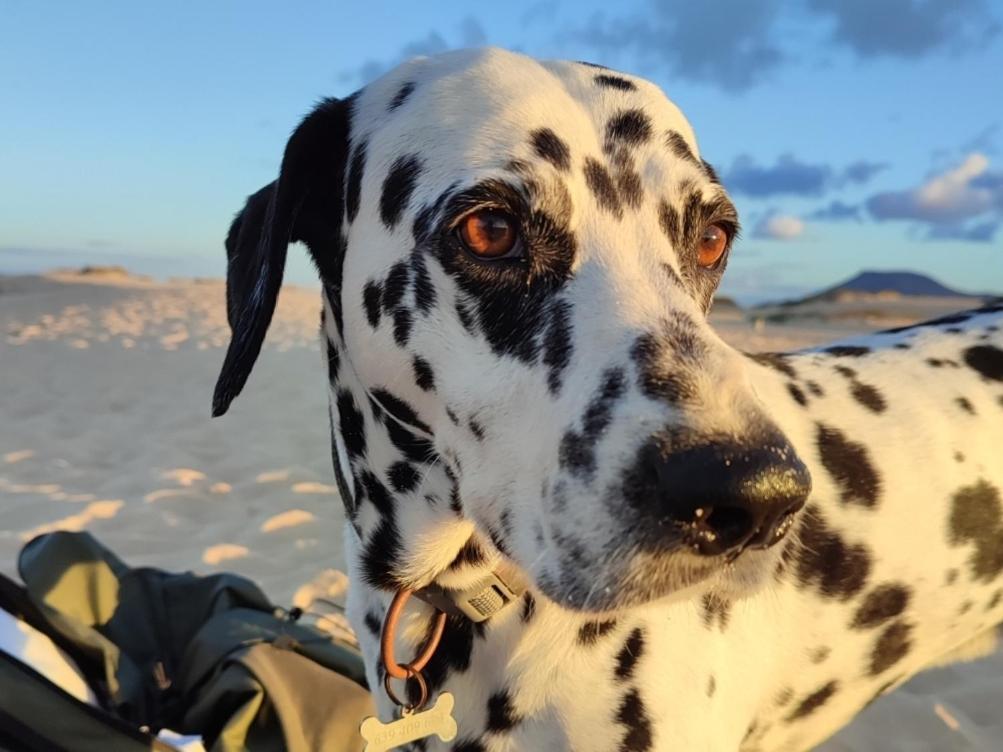 Fuerteventura Casa Tikuna La Oliva Luaran gambar